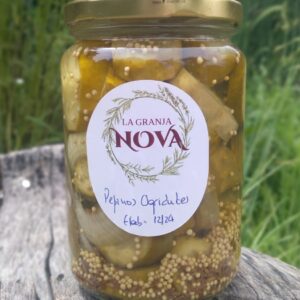 Pepinos Agridulces en rodajas 550 gr
