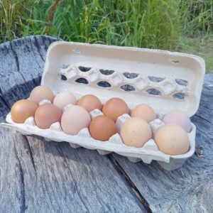 Huevos pastoriles - docena