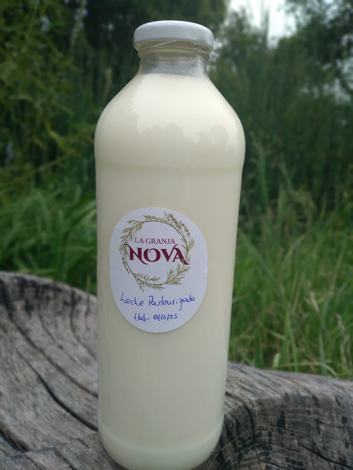 Leche Pasteurizada 910 cc