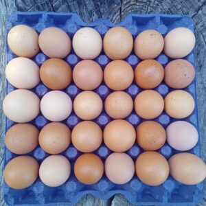 Huevos pastoriles - Maple