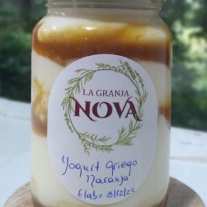 Yogur Griego Naranja 350 gr